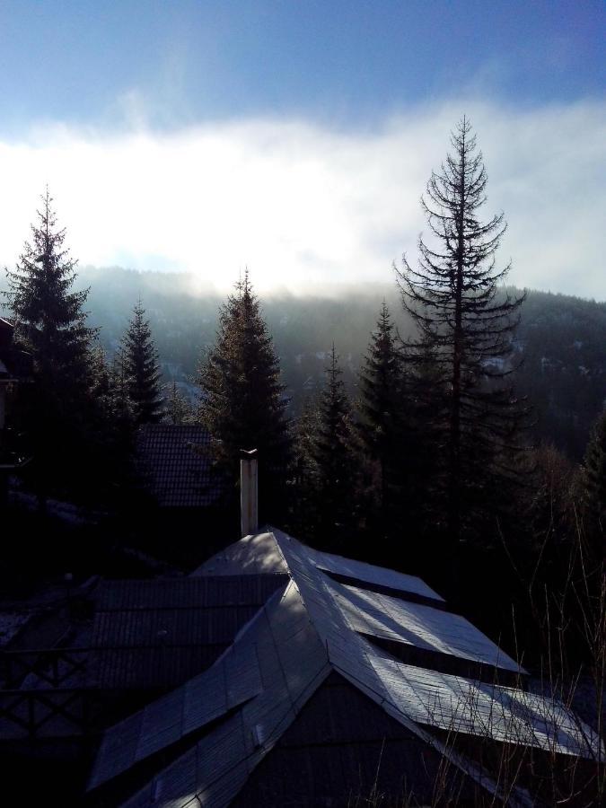 Apartments Dviletov Kutak Kopaonik Dış mekan fotoğraf