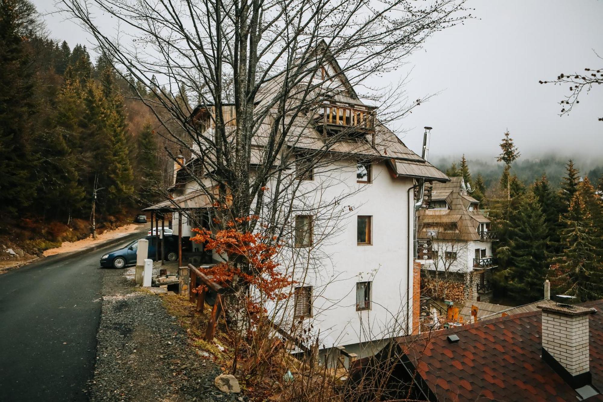 Apartments Dviletov Kutak Kopaonik Dış mekan fotoğraf